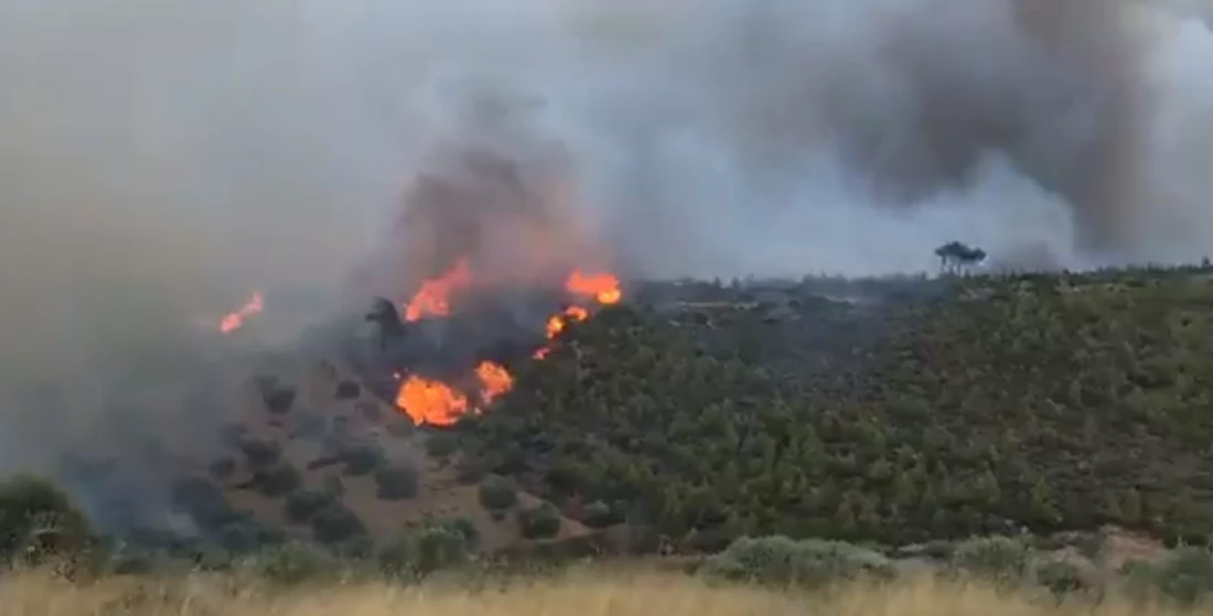 Στις φλόγες αποθήκη στο Λύρειο Ίδρυμα στον Νέο Βουτζά -Σηκώθηκε ελικόπτερο